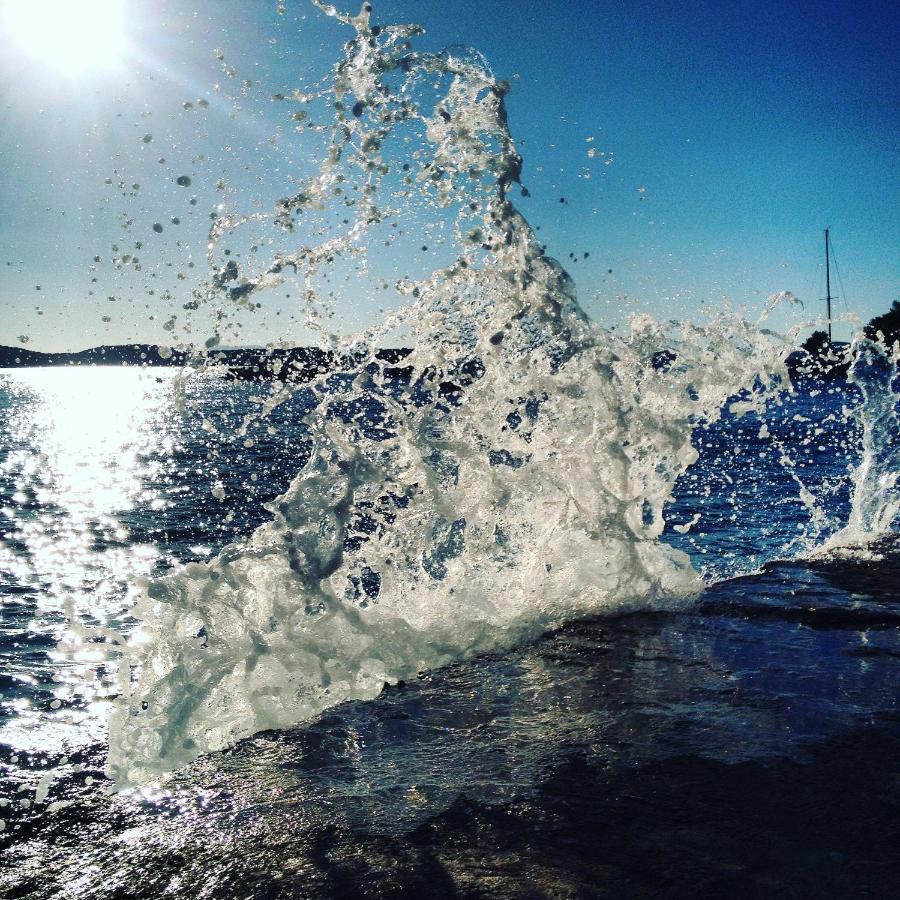 Pine * Hvar Town