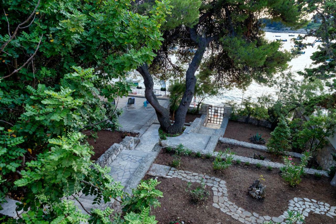 Pine Villa *